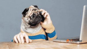 Funil de Vendas Invertido - Zenivox