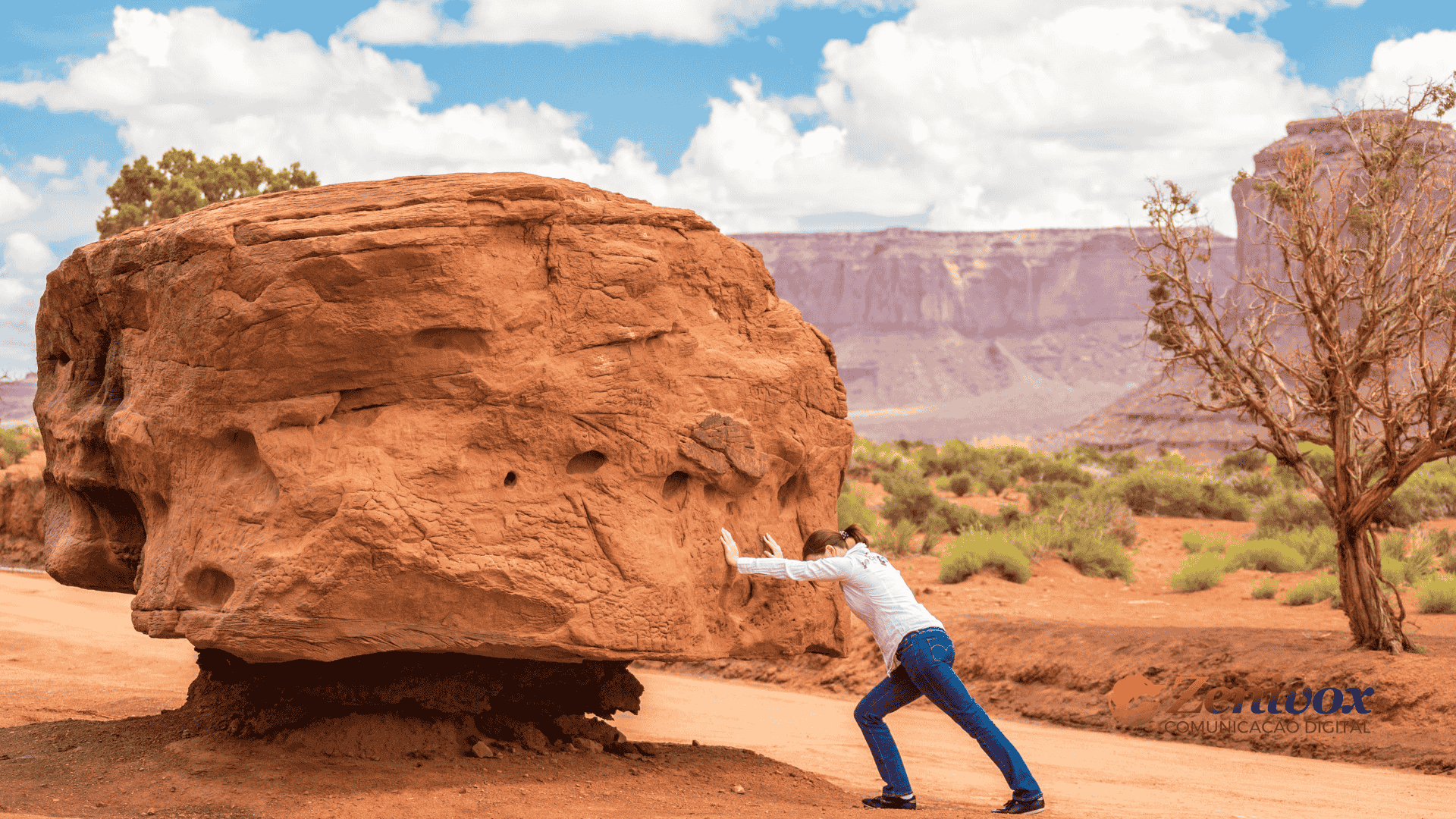 Marketing Digital por que é importante - Zenivox